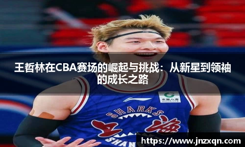 王哲林在CBA赛场的崛起与挑战：从新星到领袖的成长之路